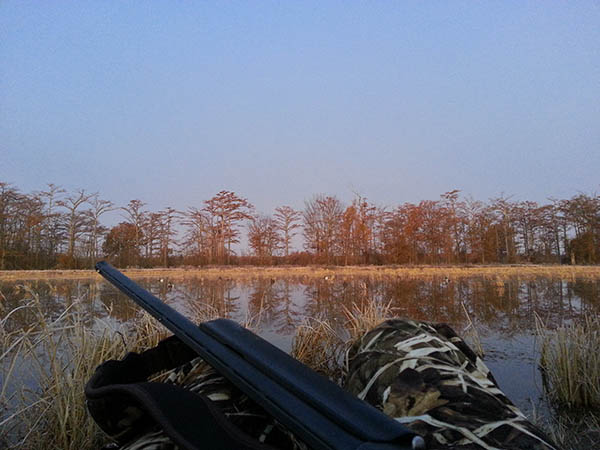 Arkansas hunting lease fields