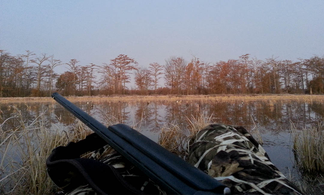 Arkansas Hunting 